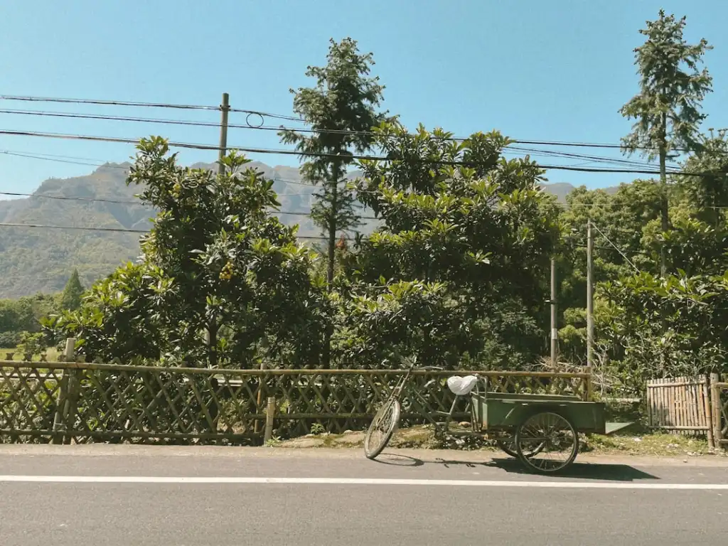 2024年打印纸与复印纸市场价格趋势及采购建议