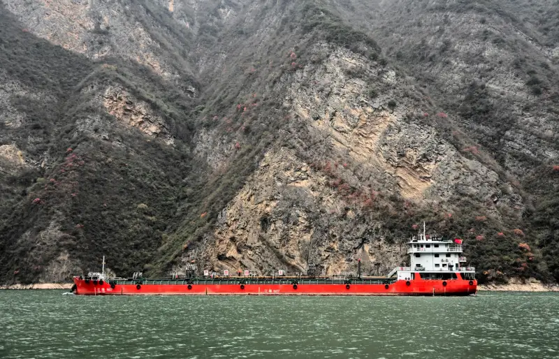 上海崧霏办公设备选购指南:复印纸与打印耗材匹配建议